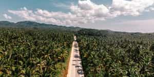 Siargao